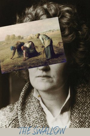 The Swallow (2024) poster