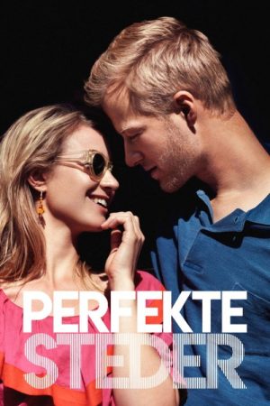 Perfect locations (2017) poster