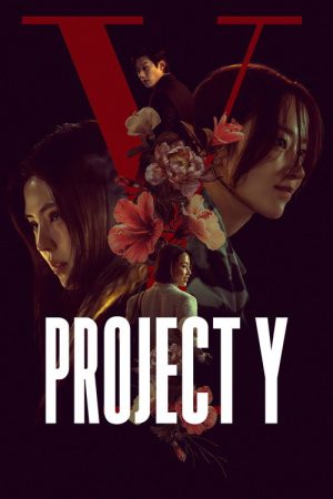 Project Y (2026) poster