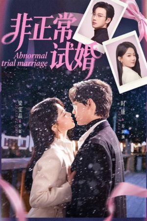 非正常试婚 (2026) poster
