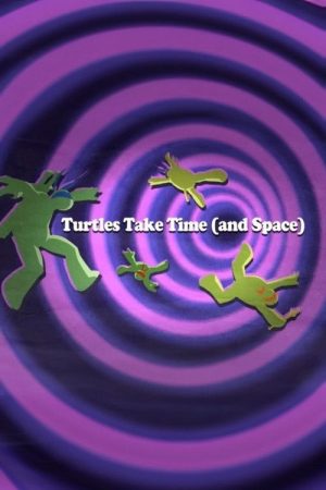 Turtles Take Time (and Space) (2016) poster