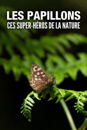 Les Papillons, ces super-héros de la nature (2023) poster