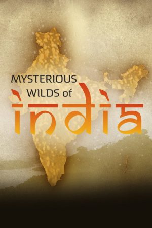 Mysterious Wilds of India (2016) poster