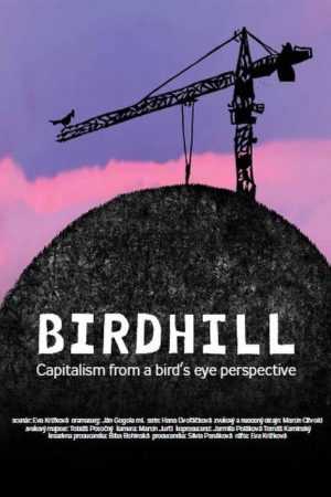 Birdhill (2024) poster