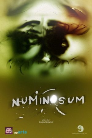 Numinosum (2020) poster