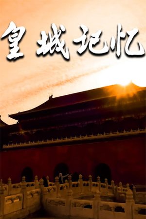 皇城记忆 (2017) poster