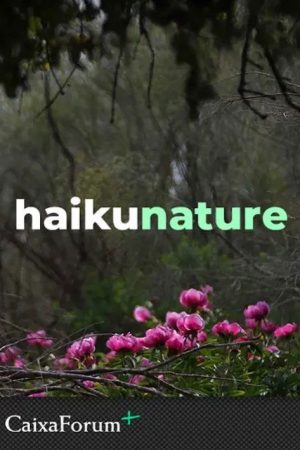 Haiku Nature (2022) poster