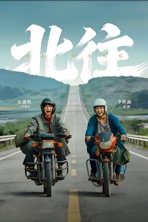 北往 (2026) poster