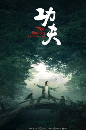 功夫 (2023) poster