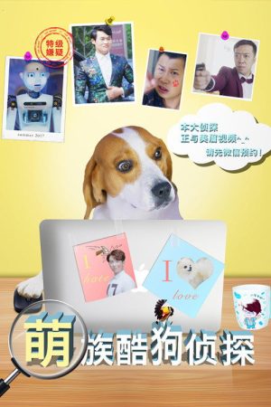 Cool Dog Detective (2018) poster