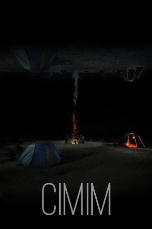 CIMIM (2022) poster