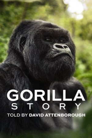 A Gorilla Story: Told by David Attenborough (2026) poster
