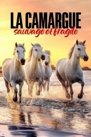 La Camargue : sauvage et fragile (2022) poster