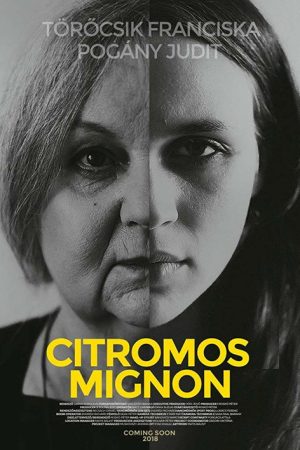 Citromos Mignon (2018) poster