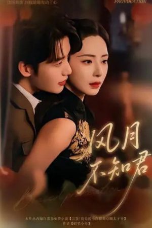 风月不知君 (2025) poster