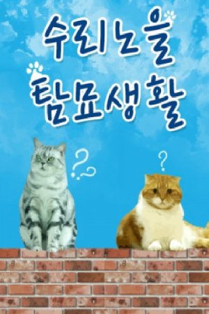 수리노을 탐묘생활 (2017) poster