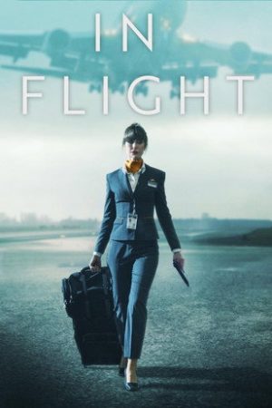 In Flight (2025) poster