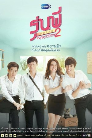 Senior Secret Love: Puppy Honey (2016) poster