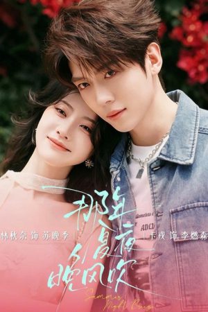 那年夏夜晚风吹 (2026) poster