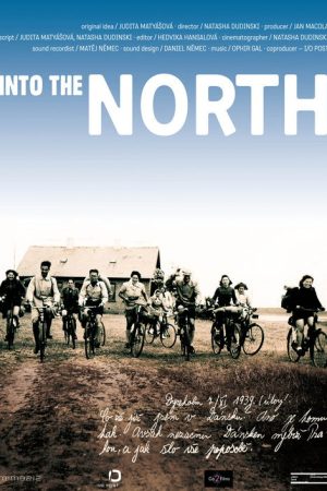 Into the North (2016) poster