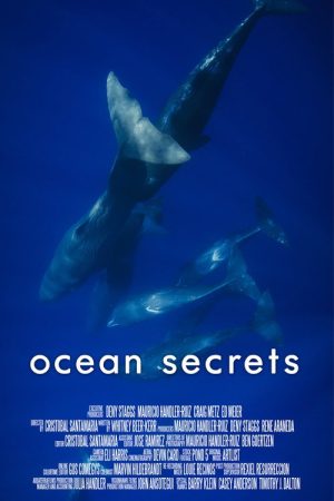 Ocean Secrets (2020) poster