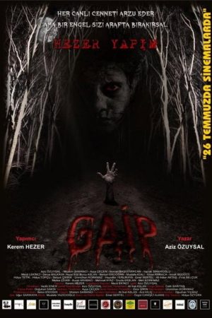 Gaip (2019) poster