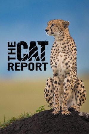 The Cat Report (2018) poster