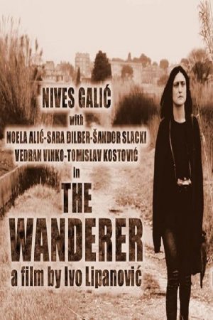 The Wanderer (2017) poster
