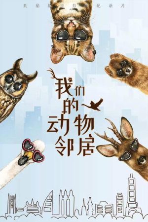 我们的动物邻居 (2019) poster