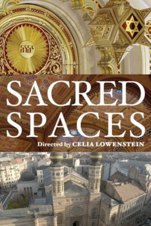 Sacred Spaces (2018) poster