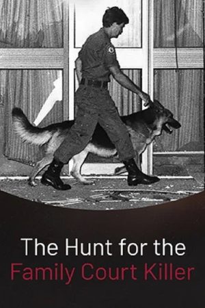 The Hunt for the Family Court Killer (2023) poster