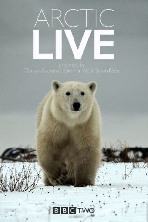 Arctic Live (2016) poster