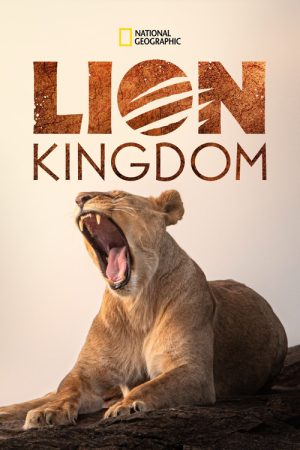 Lion Kingdom (2017) poster
