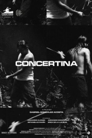 Concertina (2021) poster