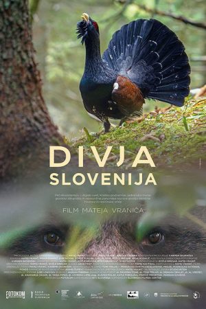 Wild Slovenia (2021) poster