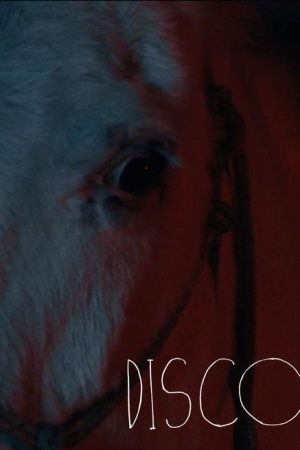 Disco (2026) poster