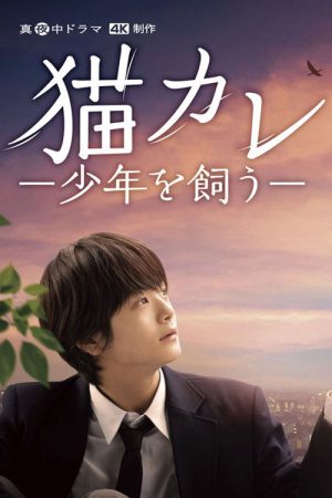 Taking in a Stray (2023) poster
