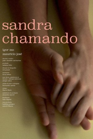 Sandra Calling (2017) poster