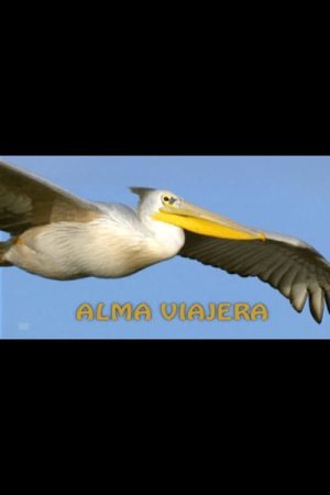 Alma viajera (2023) poster