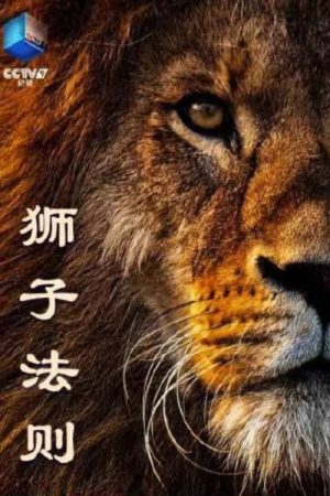 狮子法则 (2019) poster