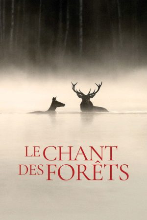 Whispers in the Woods (2025) poster