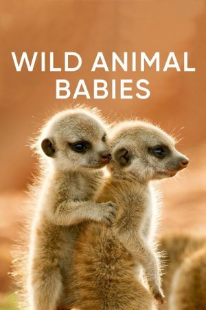 Wild Animals Babies (2020) poster