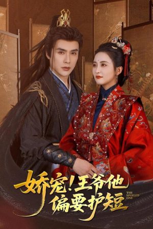 娇宠！王爷他偏要护短 (2025) poster