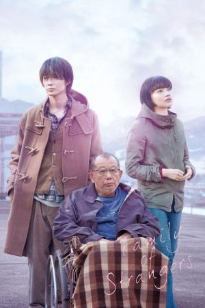 Family of Strangers (2019) poster