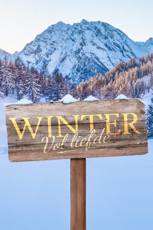 Winter vol Liefde (2023) poster
