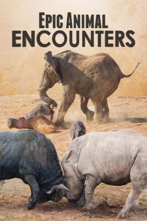 Epic Animal Encounters (2019) poster