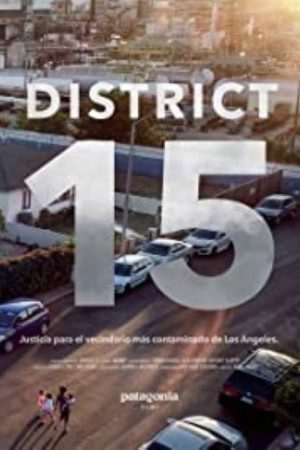 District 15 (2020) poster