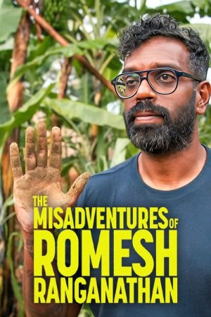 The Misadventures of Romesh Ranganathan (2018) poster
