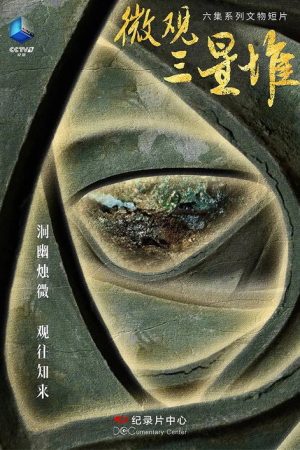微观三星堆 (2023) poster