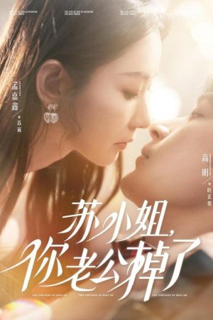 苏小姐，你老公掉了 (2026) poster